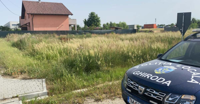 locuitorii-ghiroda-risca-amenzi-pentru-terenuri-neintretinute
