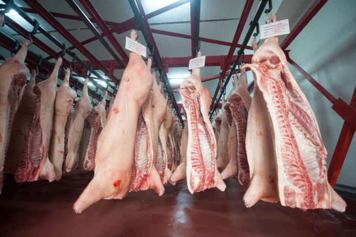 80-din-carnea-de-porc-din-romania-este-importata