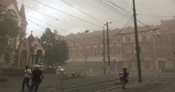 cod-rosu-de-vijelii-si-vant-puternic-in-timis