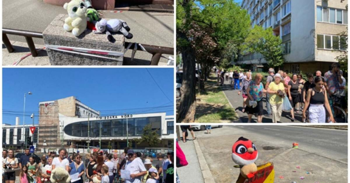 foto-locuitorii-din-zona-garii-de-nord-protesteaza-pasnic-cu-jucarii