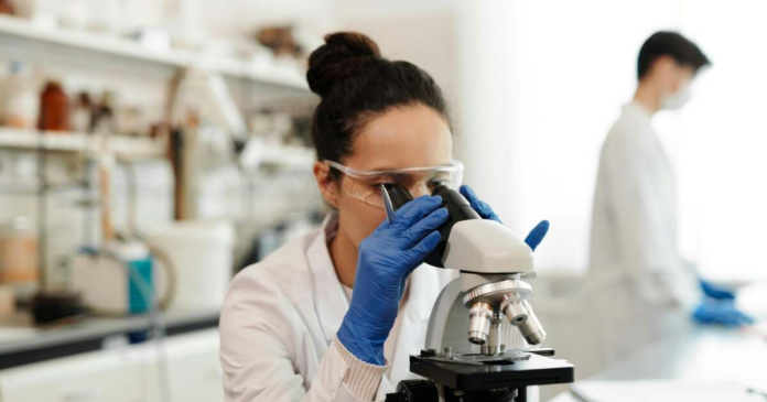 program-scoala-de-vara-microbiologie-umf-timisoara