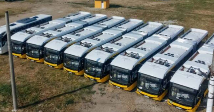 stpt-cauta-asigurator-casco-pentru-autobuze-electrice
