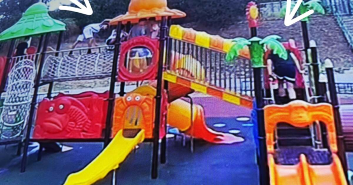 trei-adolescenti-din-giarmata-parati-pentru-vandalism
