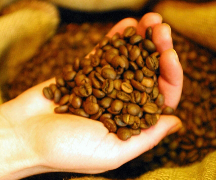xtb-cafeaua-zaharul-boabele-de-cacao-si-soia-in-piata-agricola-complexa