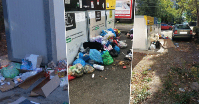 recipiente-blocate-si-gunoaie-langa-insulele-ecologice-timisoara