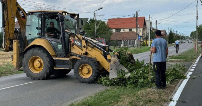 Campanie gratuită de colectare a deșeurilor vegetale Giroc