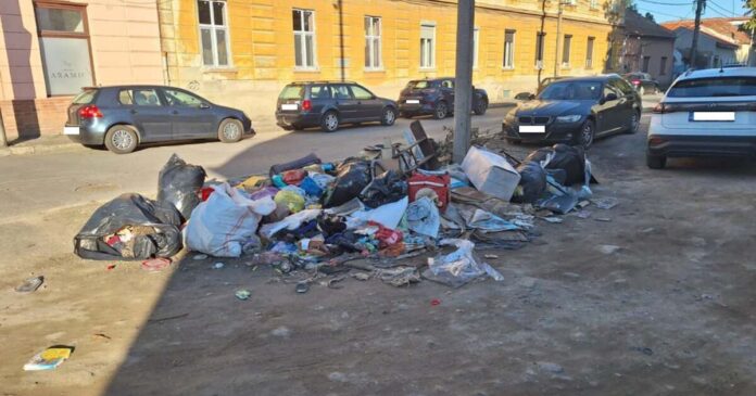 Prefectul Cornelia Micicoi a cerut ridicarea deșeurilor din rampe clandestine.