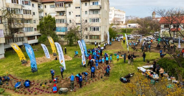 Timișorenii sunt invitați să planteze o pădure urbană