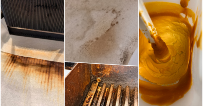 FOTO. Mâncare cu muște, tăvi arse și produse expirate servite în mai multe restaurante din mallurile din Timișoara