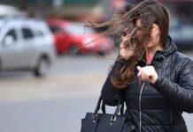 Avertizare Cod Galben de vânt puternic duminică în Timiș