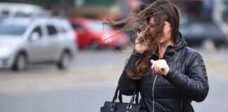 Avertizare Cod Galben de vânt puternic duminică în Timiș