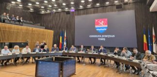 Modificări la Asociația „Distribuție Gaz Timiș Centru”: Cotizații simplificate, iar județul nu va mai fi reprezentat de președintele CJT.