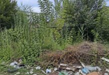 Sanțiuni pentru proprietarii de terenuri neîngrijite din Moșnița Nouă