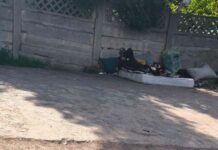 VIDEO. Piața Iosefin: între murdărie și amenzile aplicate de Poliția Locală Timișoara