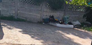 VIDEO. Piața Iosefin: între murdărie și amenzile aplicate de Poliția Locală Timișoara