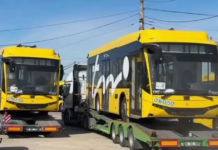 VIDEO. Primele două autobuze electrice scurte au ajuns la Timișoara