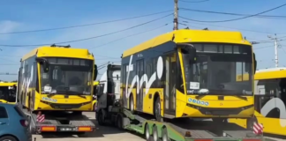 VIDEO. Primele două autobuze electrice scurte au ajuns la Timișoara