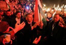 Victoriile lui Magyar au șocat piețele. Ce se va întâmpla cu forintul după alegerile din Ungaria