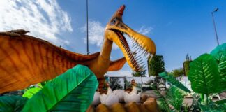 Minivacanță la Iulius Town: dinozauri, plante carnivore, spectacole interactive și teatru pentru copii