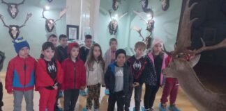 PROGRAM. Ziua Silvicultorului, sărbătorită cu activități educaționale și demonstrații la Muzeul Cinegetic Charlottenburg