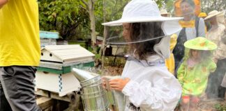 Două grădini urbane pentru albine, educație și biodiversitate în Timișoara