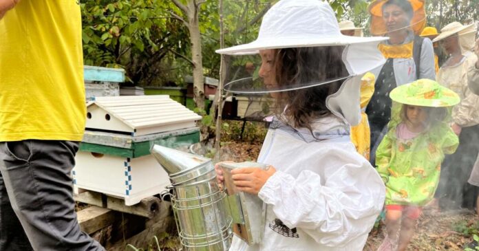 Două grădini urbane pentru albine, educație și biodiversitate în Timișoara