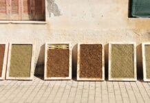 FOTO. Pământul Banatului, sursă de inspirație pentru un proiect cultural internațional