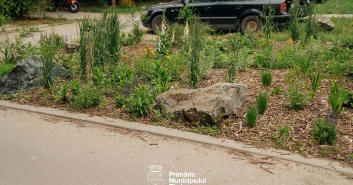 FOTO. Primăria Timișoara, „somată” cu o amendă de 100.000 de lei pentru bolovanii anti-mașini. „Desigur că vom contesta”