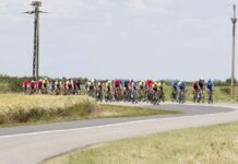 FOTO. Timișoara–Szeged pe biciclettă. Vino și tu la o plimbare cu opriri culturale prin inima multiculturală a Banatului!