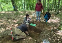 FOTO. Artefacte recuperate dintr-un sit arheologic afectat de braconaj la Crivina–Leopoldsberg