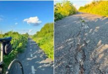 FOTOGRAFIE. Pista de biciclete Timișoara-Serbia, deteriorată. CJT anunță reparații începând cu luna iunie.