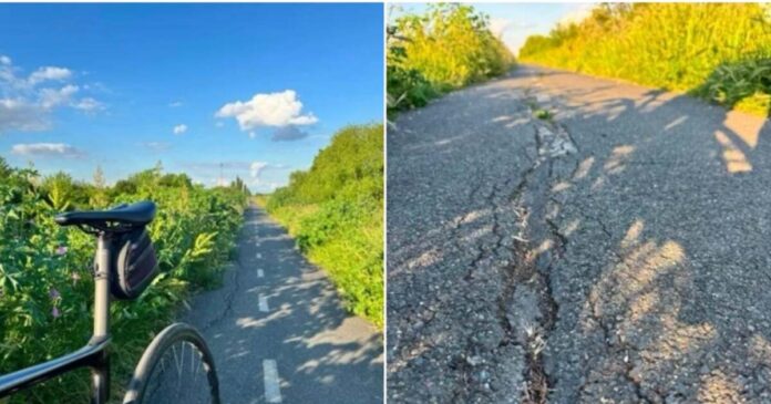 FOTOGRAFIE. Pista de biciclete Timișoara-Serbia, deteriorată. CJT anunță reparații începând cu luna iunie.