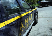 ANAF: Fraudă de peste 15 milioane de lei identificată la o firmă de securitate și protecție