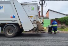 Actualizarea prețurilor pentru serviciul de salubrizare în Zona 1 Timiș