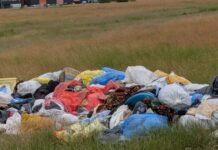 Cartierul Freidorf, copleșit de deșeuri. Locuitorii semnalează problema, Poliția Locală promite să efectueze verificări.