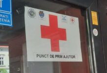 Cod roșu de caniculă în județul Timiș. Cum vă puteți proteja de căldură și unde puteți găsi ajutor în Timișoara