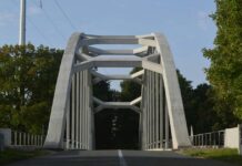 Consiliul Județean Timiș reia licitația pentru studiul de fezabilitate al podului peste Mureș de la Cenad
