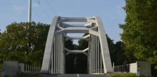 Consiliul Județean Timiș reia licitația pentru studiul de fezabilitate al podului peste Mureș de la Cenad