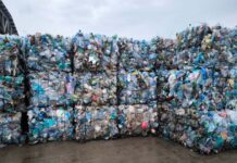 ECO Serv Timiș își extinde activitatea. Ce noi domenii va putea aborda firma înființată de Consiliul Județean?