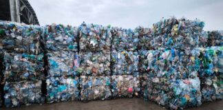 ECO Serv Timiș își extinde activitatea. Ce noi domenii va putea aborda firma înființată de Consiliul Județean?