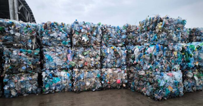 ECO Serv Timiș își extinde activitatea. Ce noi domenii va putea aborda firma înființată de Consiliul Județean?