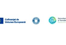 Finalizarea lucrărilor de apă și canalizare în localitățile Checea și Cenei