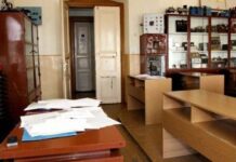 Meserii, burse și internshipuri în companii. Primăria Timișoara susține învățământul dual.