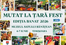 Mutat la Țară Fest se desfășoară la Muzeul Satului Bănățean, pe 6-7 iunie 2026. Două zile de „energie contemporană, ritmuri din trecut”