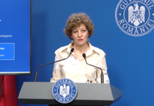 Oana Gheorghiu: TAROM, o companie în cădere liberă către eșec
