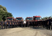 Pompierii din Timiș oferă ajutor Franței în combaterea incendiilor de pădure.