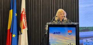 Prefectul județului Timiș, Cornelia Elena Micicoi, și-a prezentat demisia: „Nu voi lăsa ca această anchetă să influențeze instituția”