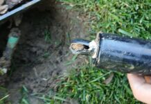 Primarul din Moșnița Nouă face un apel către comunitate după vandalizarea parcului: „Schimbarea începe cu fiecare dintre noi”