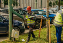 Trei companii, printre care și ELBA, interesate de modernizarea iluminatului public pe 66 de străzi din Timișoara.