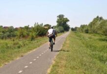 Vara aceasta puteți traversa granița pe bicicletă. Punctul de trecere a frontierei de pe Canalul Bega se redeschide în mai multe weekenduri.